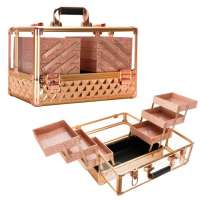 2018 new design pink aluminum beauty case , portable aluminum cosmetic display case for nail beauty,guangdong luggage,KL-MC256